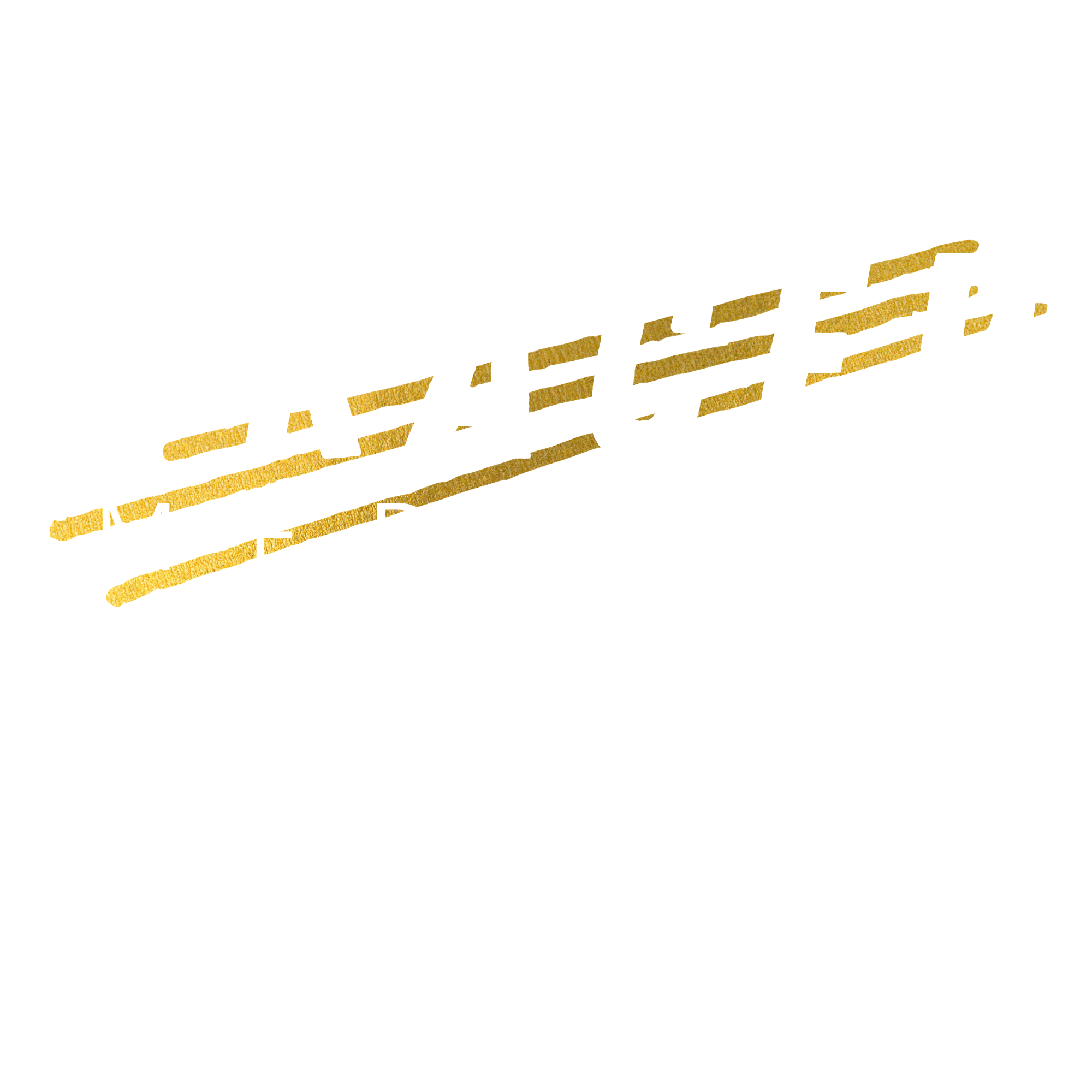Tracer Media Co